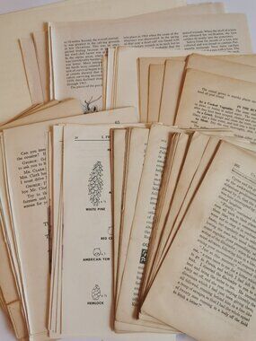 Mixed Bundle of Vintage Pages Paper Pack 300grams Junk Journal Crafting Antique